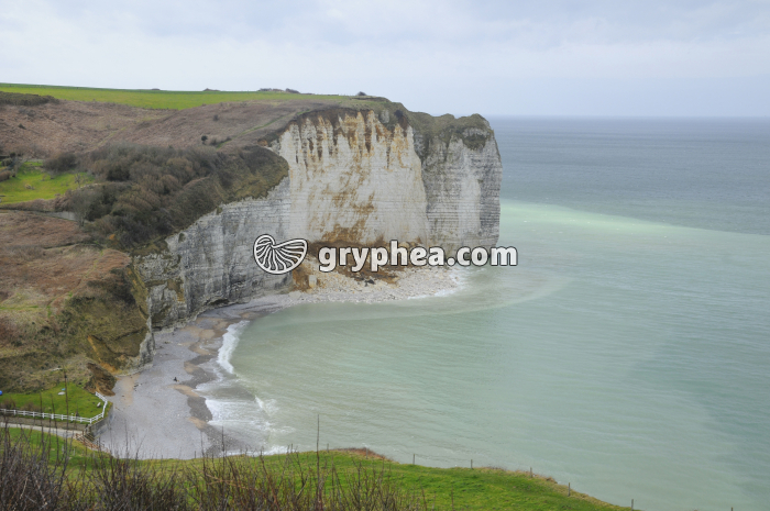 Effondrement d'une falaise de craie - gryphea.org